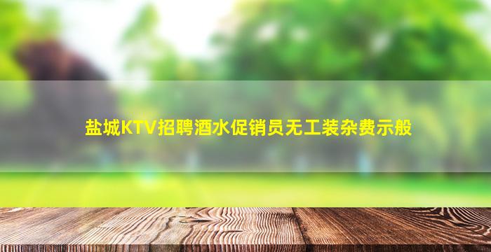 盐城KTV招聘酒水促销员无工装杂费示般
